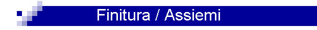 Finitura / Assiemi